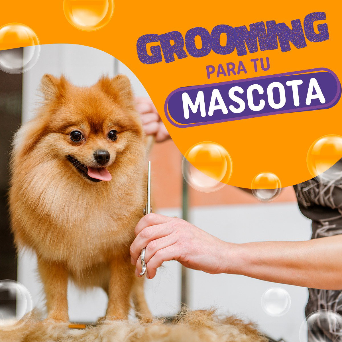 promocion-grooming-descuento-arca-de-noe