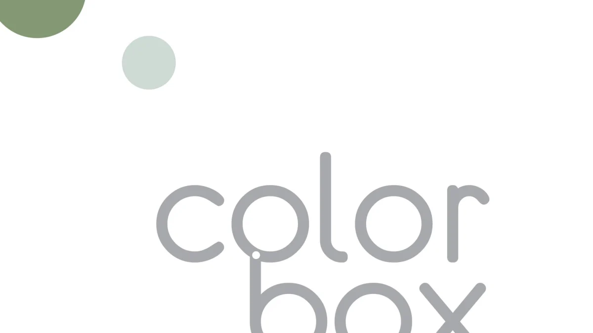 color-box-logotipo